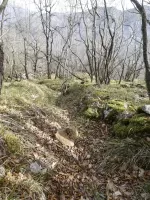 Ligne Maginot - COL DE SEGRA SUD-EST 2 - (Blockhaus pour arme infanterie) - Environnement