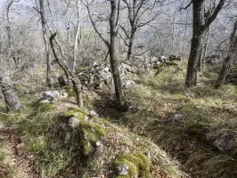 Ligne Maginot - COL DE SEGRA SUD-EST 2 - (Blockhaus pour arme infanterie) - Environnement