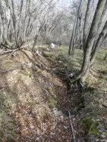 Ligne Maginot - COL DE SEGRA SUD-EST 2 - (Blockhaus pour arme infanterie) - Environnement