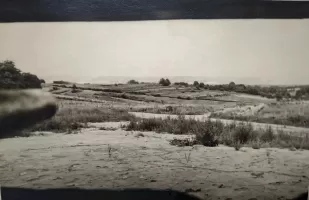 Ligne Maginot - 86 - ASCHENBACH - (Casemate d'infanterie - Double) - Vue sur Haselberg depuis le créneau nord de l'Aschenbach  1940