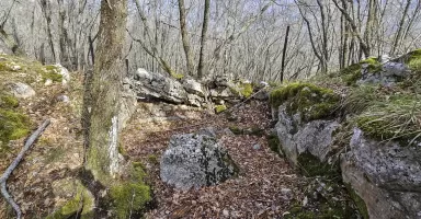 Ligne Maginot - COL DE SEGRA SUD-EST 2 - (Blockhaus pour arme infanterie) - Cuve pour arme d'infanterie