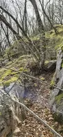 Ligne Maginot - COL DE SEGRA SUD-EST 2 - (Blockhaus pour arme infanterie) - Environnement