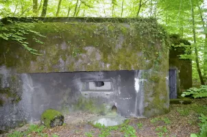 Ligne Maginot - 107 - CESARHOF SUD - (Casemate d'infanterie - Double) - Créneau de tir nord