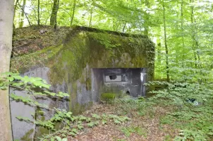 Ligne Maginot - 107 - CESARHOF SUD - (Casemate d'infanterie - Double) - Créneau de tir nord