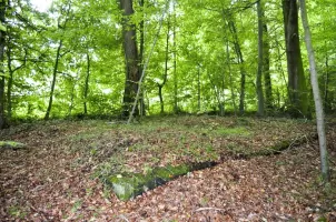 Ligne Maginot - CESARHOF - (Casernement) - Soubassement  d'une construction légère type baraquement