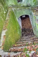 Ligne Maginot - CESARHOF 2 - (Blockhaus pour canon) - Encuvement 
Escalier d'entrée