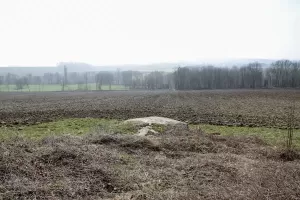 Ligne Maginot - COTE 313 - (Observatoire d'infanterie) - Vue vers le sud.
Le point d'appui se situe dans le premier bois