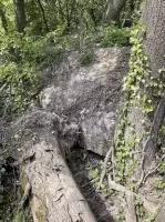 Ligne Maginot - PA DU LINSENBERG 3 - (Blockhaus pour canon) - Coupole 7e Région