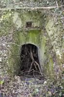 Ligne Maginot - PA DU LINSENBERG 3 - (Blockhaus pour canon) - 