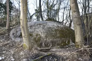 Ligne Maginot - MONENBERG EST - (Blockhaus pour canon) - La coupole et le dessus du créneau