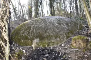 Ligne Maginot - MONENBERG EST - (Blockhaus pour canon) - La coupole