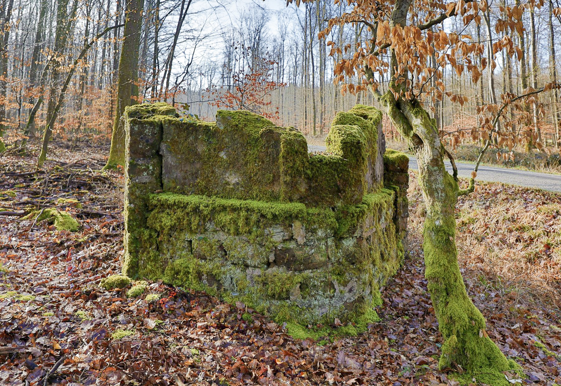 Ligne Maginot - ROUTE DU GENDERSBERG - (Blockhaus pour arme infanterie) - Créneau frontal. 