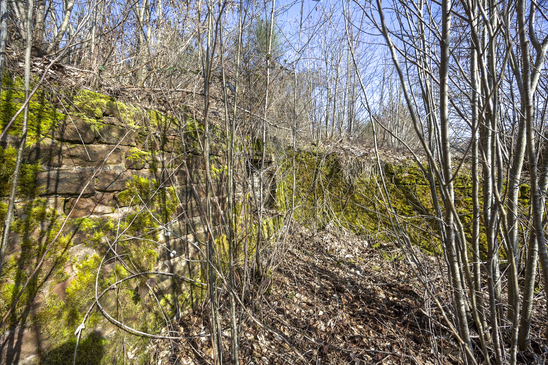 Ligne Maginot - GENDERSBERG (GRM) - (Casernement) - Caché par une végétation très dense. 