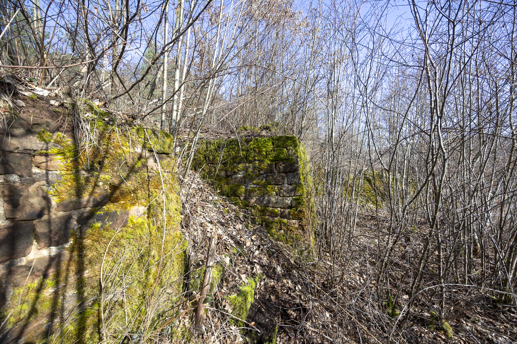 Ligne Maginot - GENDERSBERG (GRM) - (Casernement) - Caché par une végétation très dense. 
