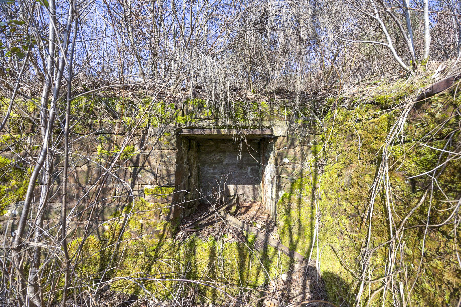 Ligne Maginot - GENDERSBERG (GRM) - (Casernement) - Caché par une végétation très dense. 