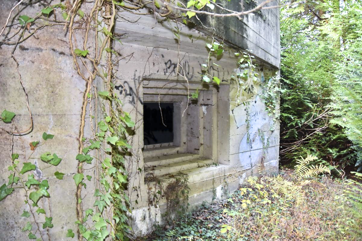 Ligne Maginot - BRUNNWASSER EST - (Casemate d'infanterie) - Créneau nord