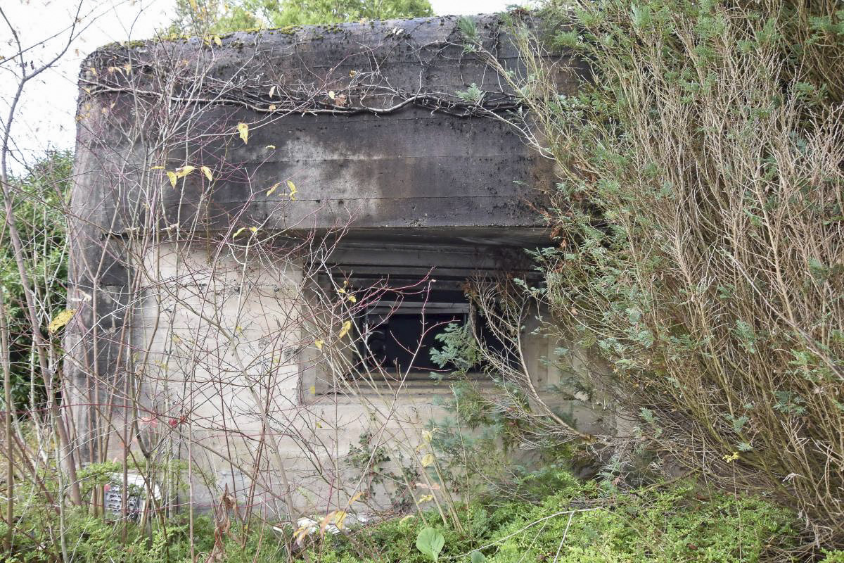 Ligne Maginot - BRUNNWASSER EST - (Casemate d'infanterie) -  Créneau sud