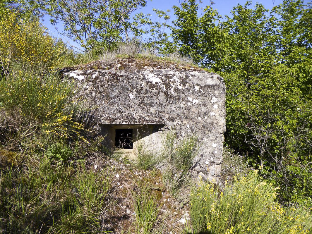 Ligne Maginot - CASTES RUINES 7 - (Blockhaus pour arme infanterie) - 