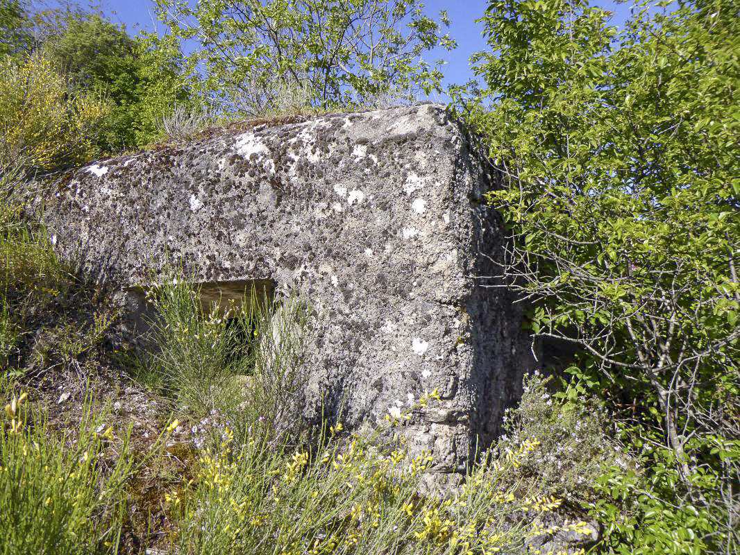 Ligne Maginot - CASTES RUINES 7 - (Blockhaus pour arme infanterie) - 