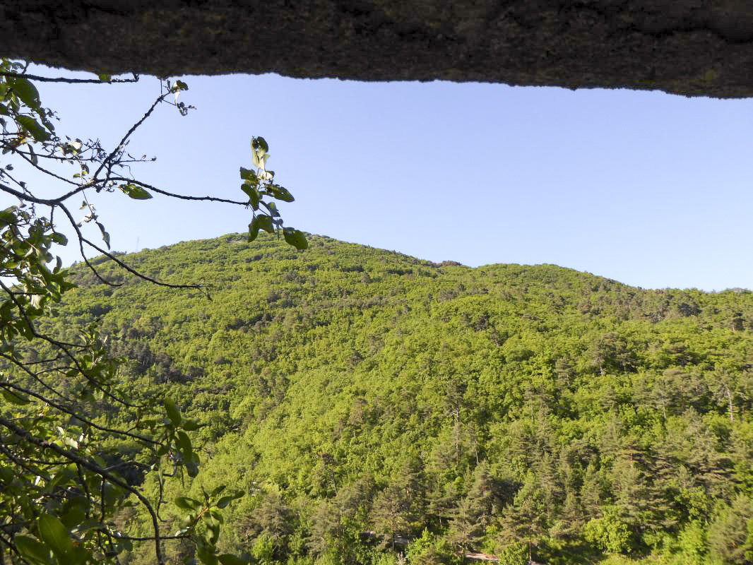 Ligne Maginot - CASTES RUINES 9 - (Blockhaus pour arme infanterie) - Vue depuis un créneau