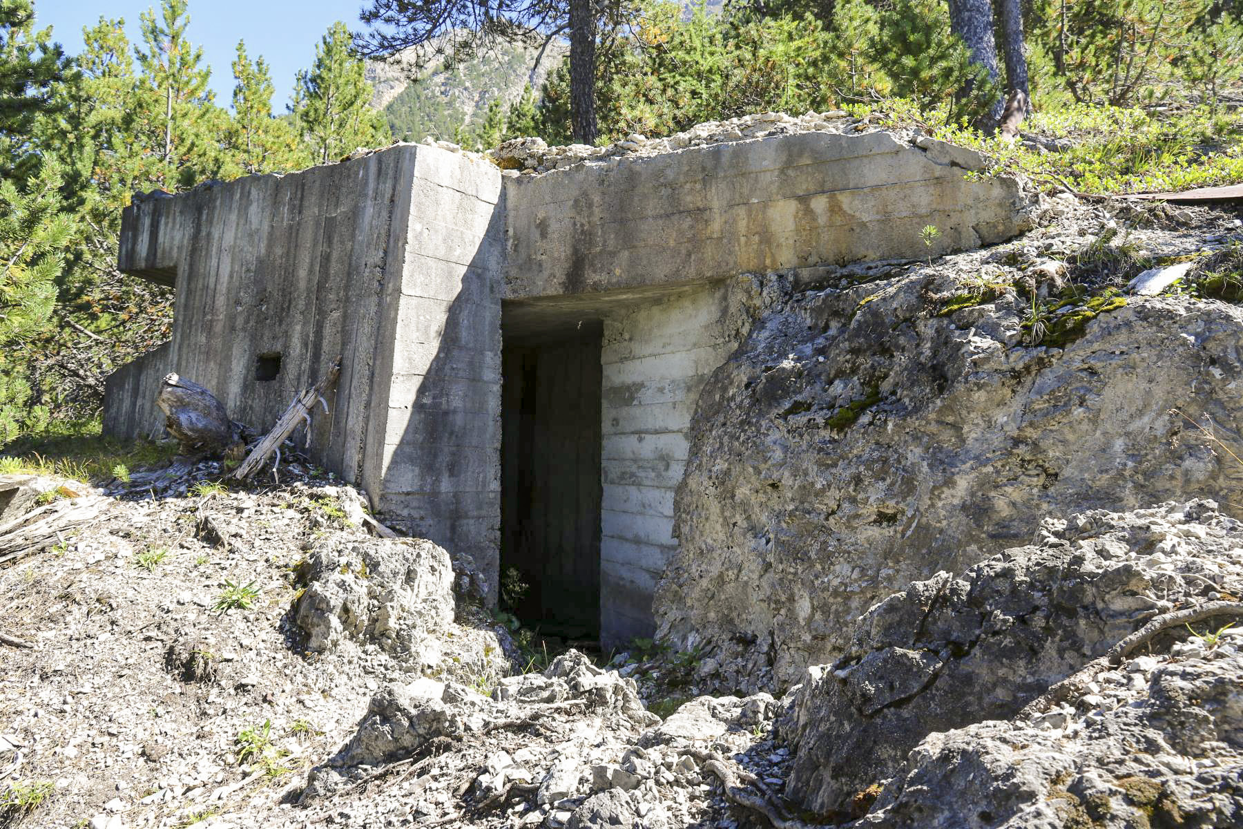 Ligne Maginot - BOIS DE SESTRIERES 11 - (Observatoire d'artillerie) - Le bloc et l'entrée
