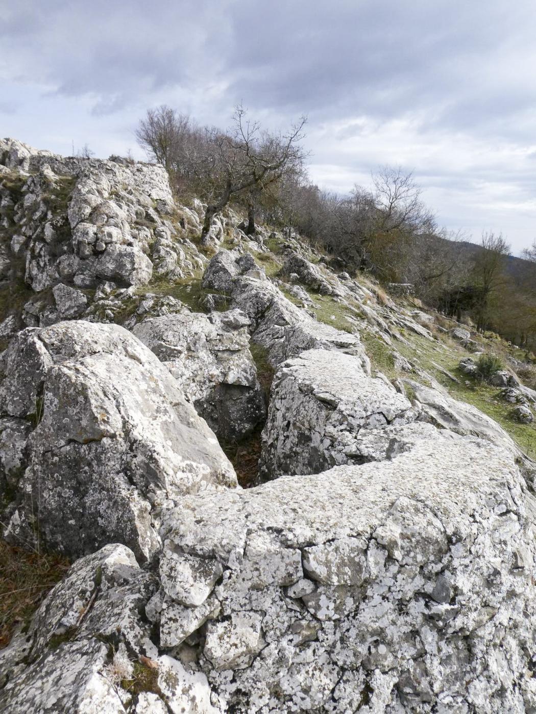 Ligne Maginot - CRETE DE L'AGREE 1 - (Cuve pour arme d'infanterie) - 