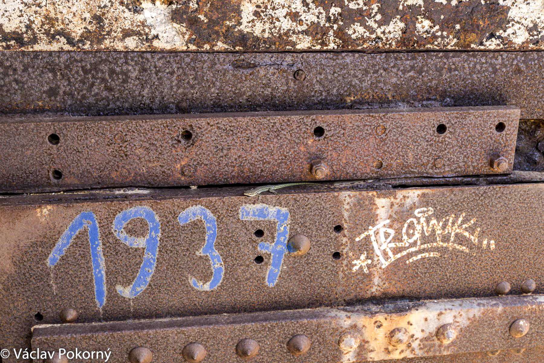 Ligne Maginot - SANT' AMANZA - (Casemate d'artillerie) - 