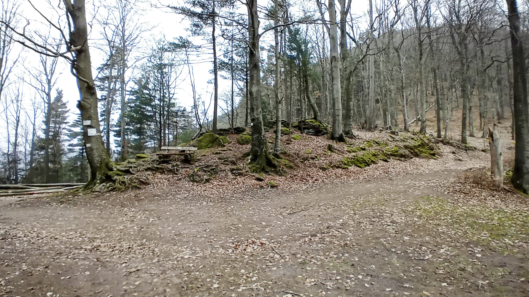 Ligne Maginot - P.A. DU COL - (Observatoire d'infanterie) - 