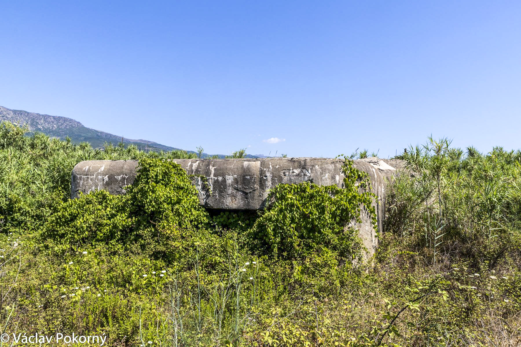 Ligne Maginot - ARINELLA SUD - (Casemate d'infanterie - Double) - 