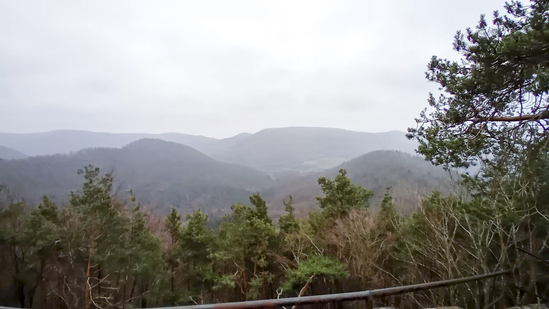 Ligne Maginot - P.A. DU ZIGEUNERFELS - (Observatoire d'infanterie) - Vue depuis le rocher