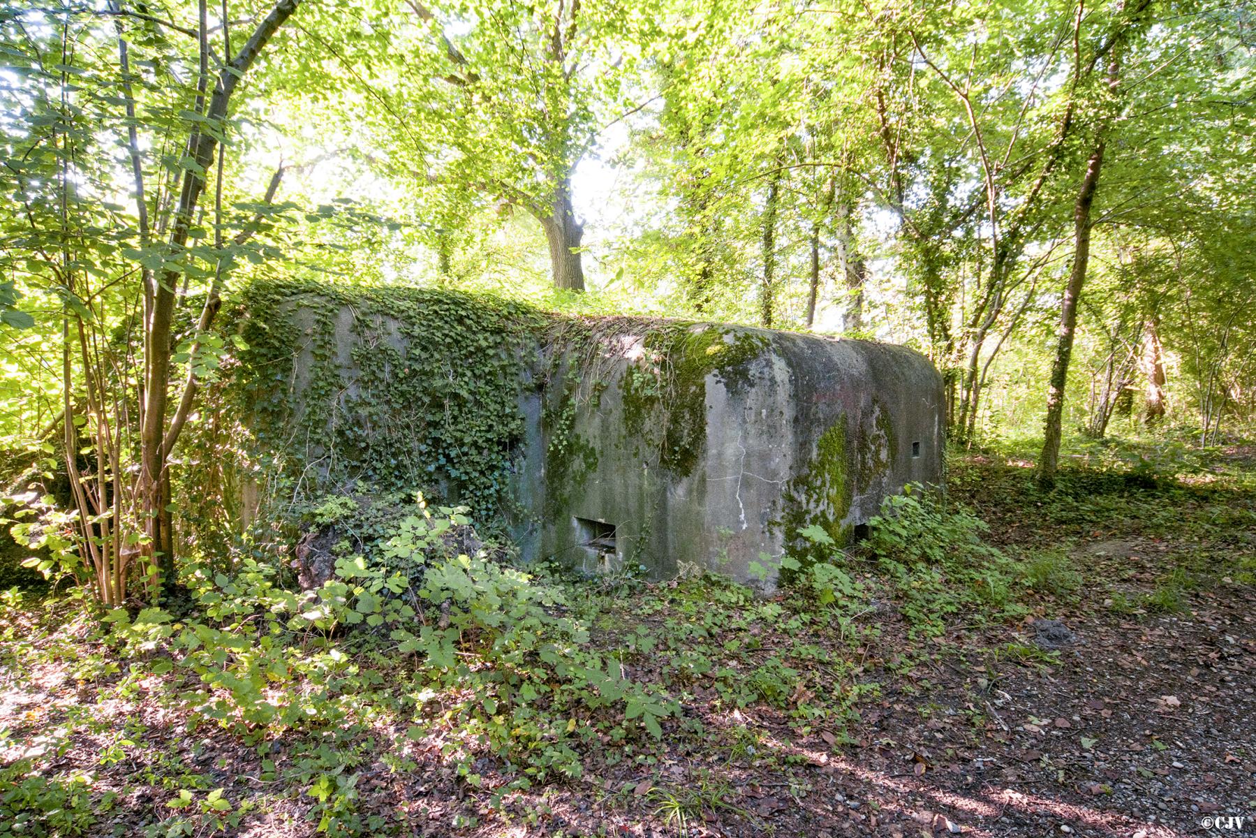 Ligne Maginot - EICHELSCHOLLEN - (Casemate d'infanterie - Simple) - 