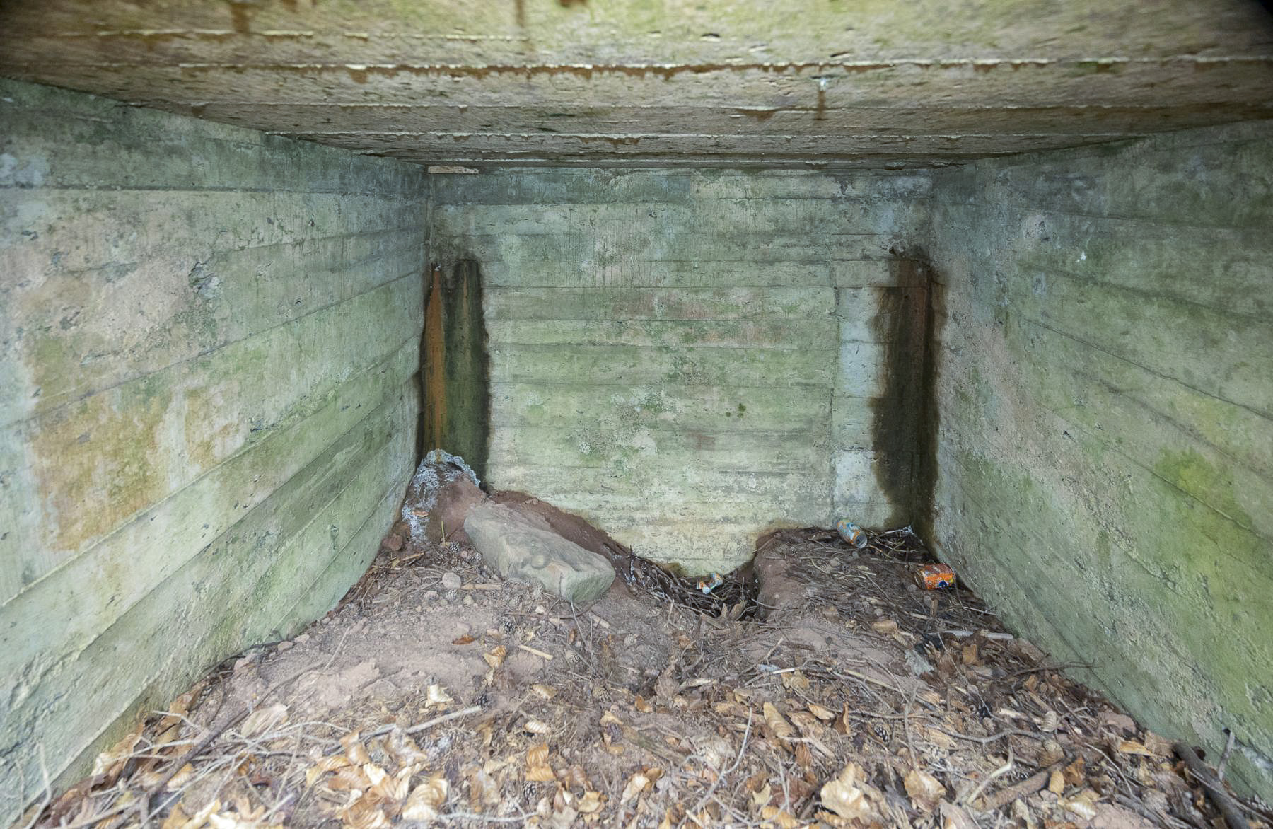 Ligne Maginot - WALDECK (8°BIE 60°RMAF) - (Position d'artillerie préparée) - Première niche.