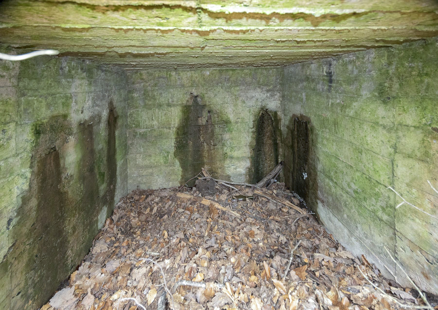 Ligne Maginot - WALDECK (8°BIE 60°RMAF) - (Position d'artillerie préparée) - La troisième niche.