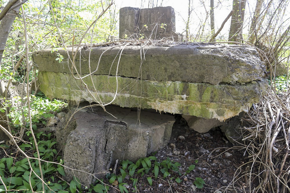 Ligne Maginot - LISSMATT SUD - (Blockhaus de type indéterminé) - 