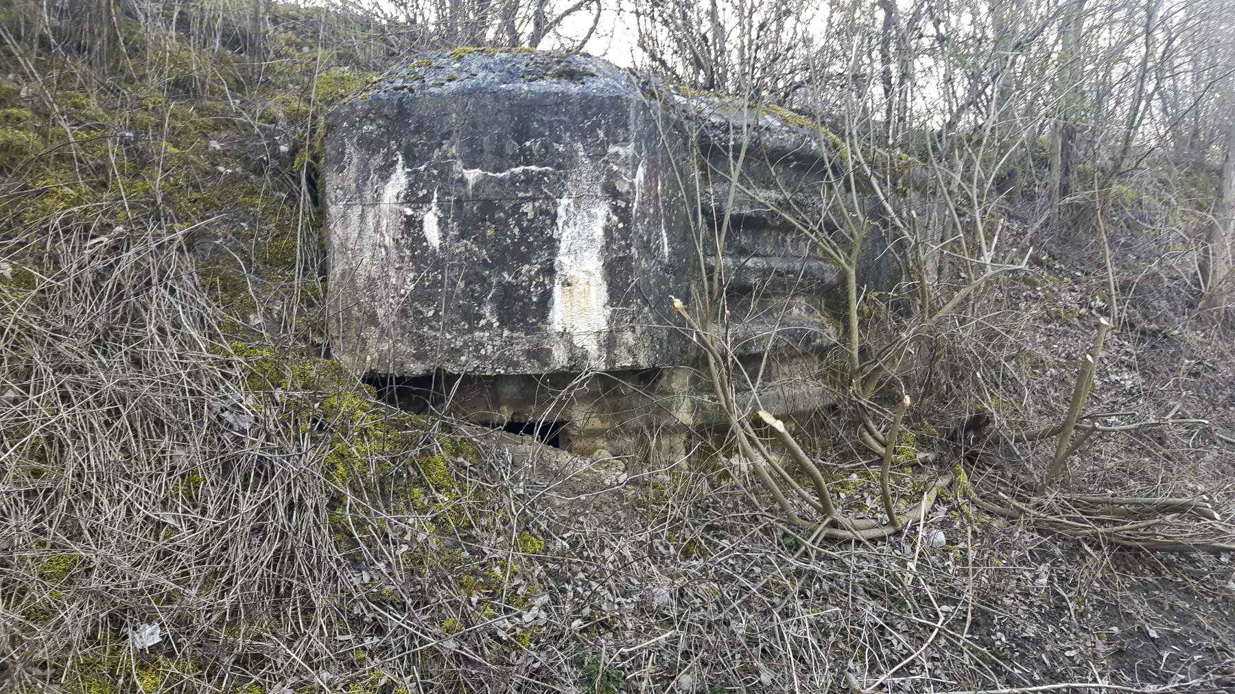 Ligne Maginot - OBERWEID 2 - (Blockhaus pour arme infanterie) - 