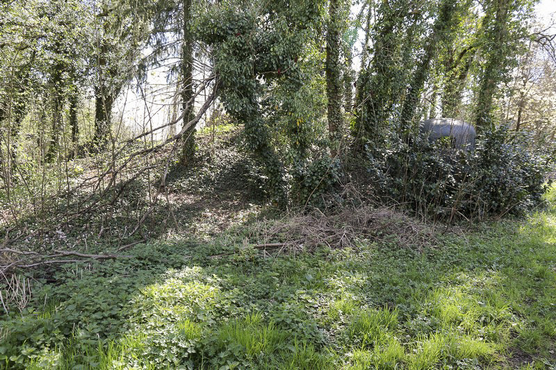 Ligne Maginot - 36/3 - ARTZENHEIM NORD - (Casemate d'infanterie - Simple) - Ruines de la casemate.
Visite avec accord de la propriétaire