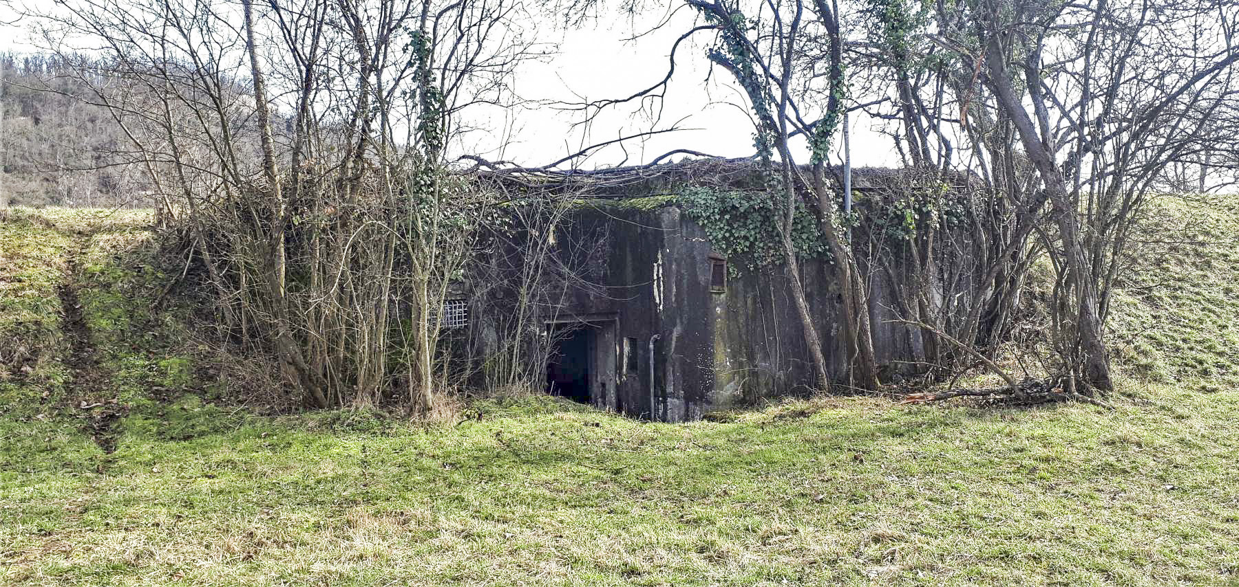 Ligne Maginot - 46A/1 - LIMBOURG PONT - (Abri) - Vue de la façade arrière