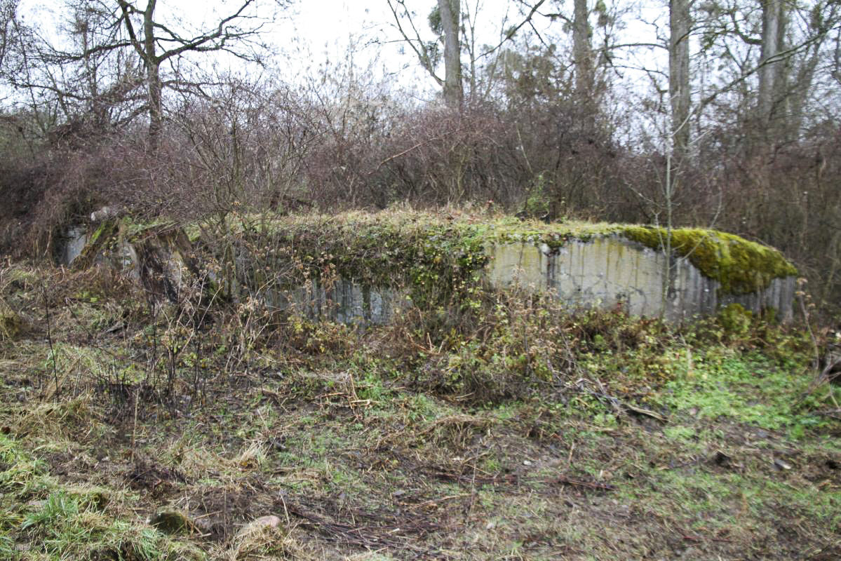 Ligne Maginot - 53/1 - LEOPOLD - (Abri) - Vue frontale de l'ouvrage