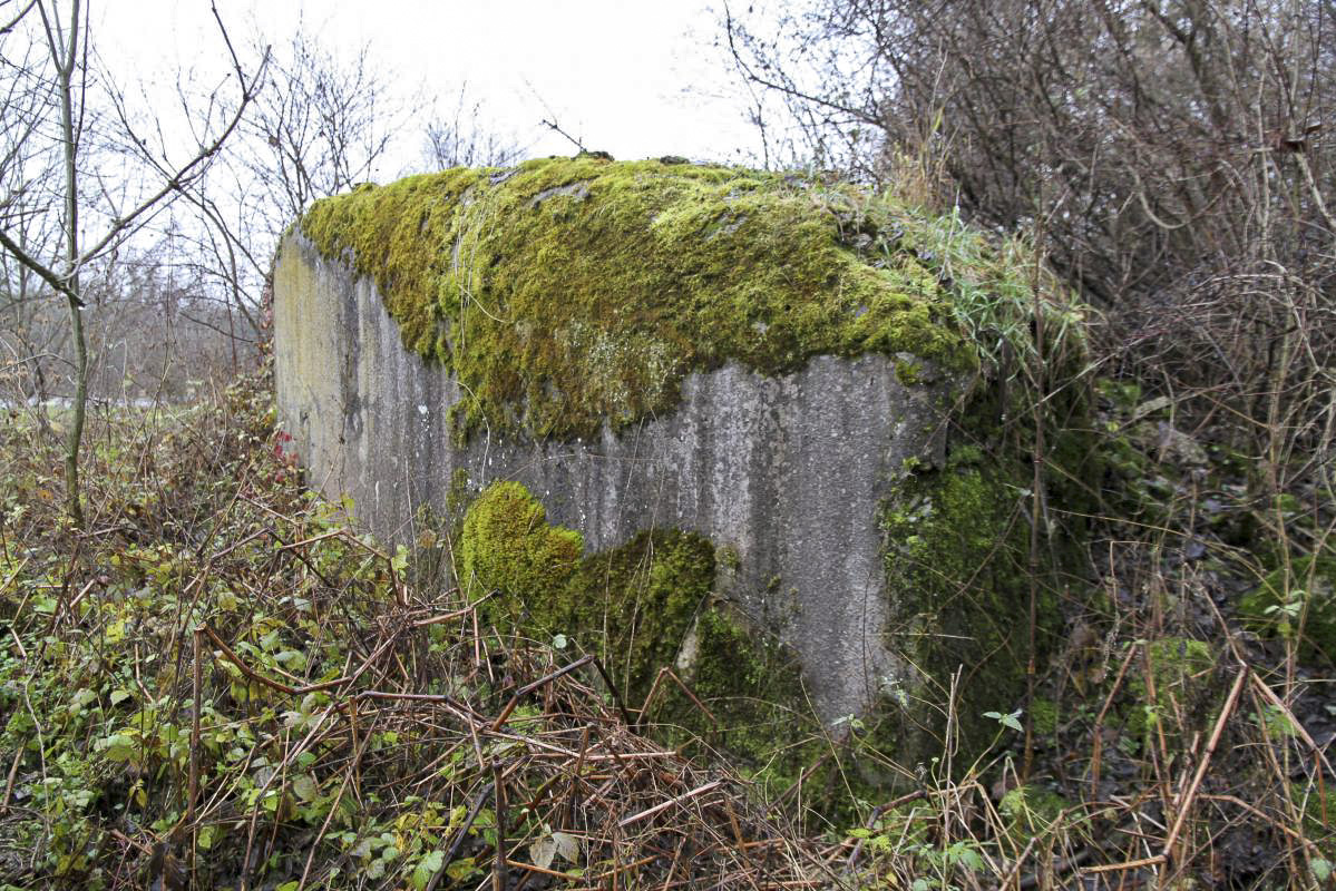 Ligne Maginot - 53/1 - LEOPOLD - (Abri) - Vue du nord. 