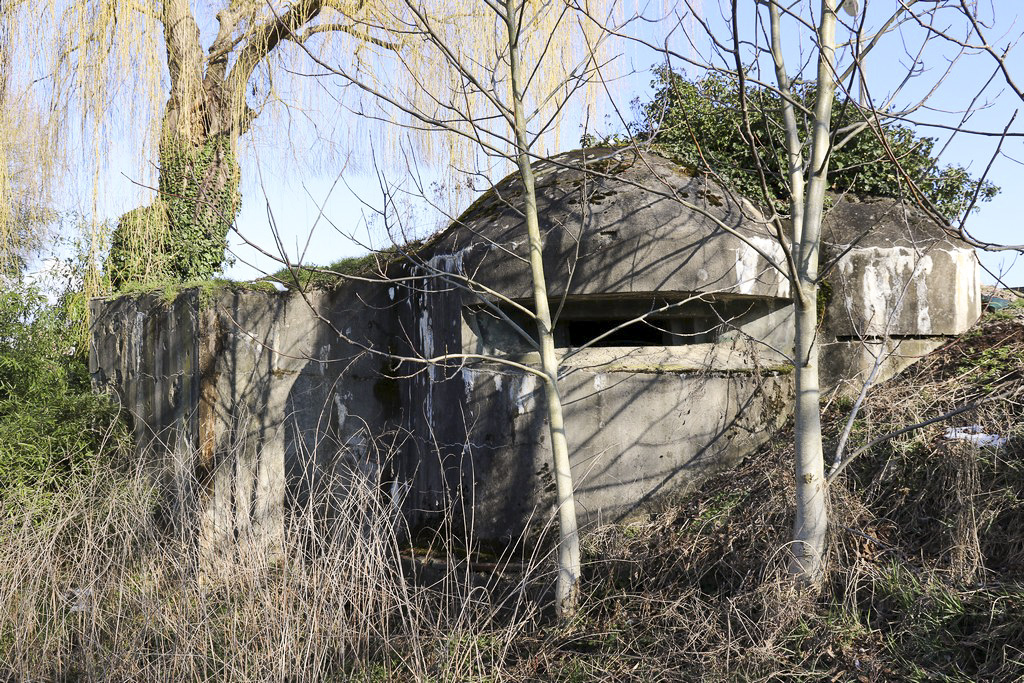 Ligne Maginot - ILLHAEUSERN 2 - (Blockhaus pour arme infanterie) - Coupole sud