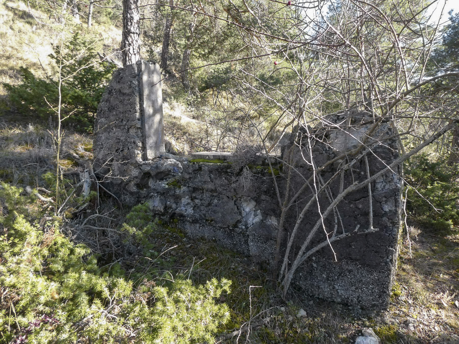 Ligne Maginot - COL DE BRAUS EST 2 - (Abri) - 