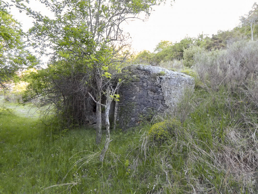 Ligne Maginot - COL DE BRAUS OUEST - (Abri) - 