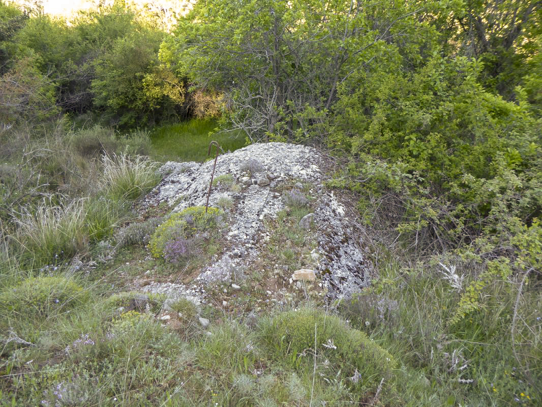 Ligne Maginot - COL DE BRAUS OUEST - (Abri) - 