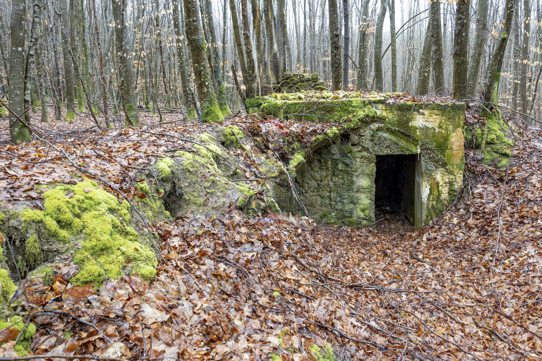 Ligne Maginot - MILKOPF (59° RAMF) - (Position d'artillerie préparée) - Vue d'ensemble.