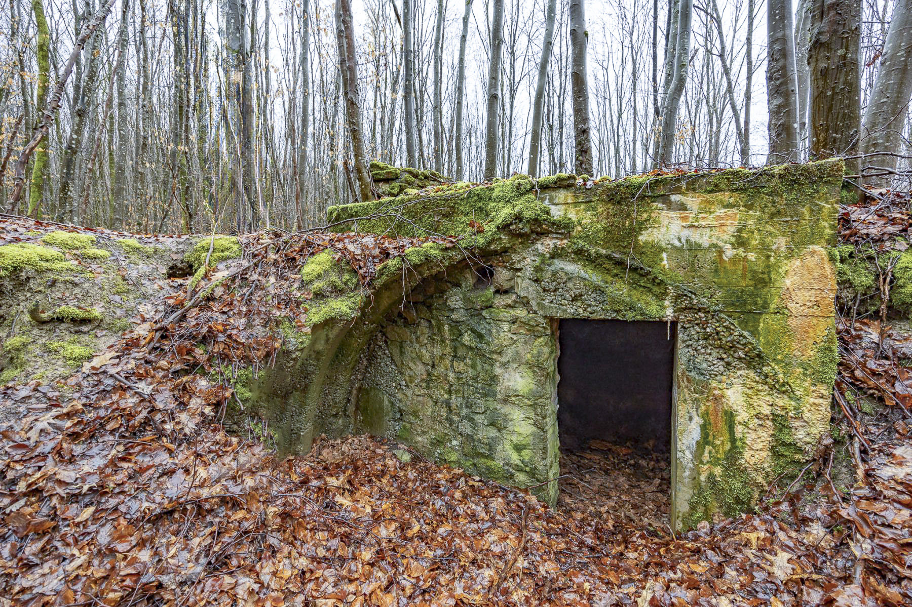 Ligne Maginot - MILKOPF (59° RAMF) - (Position d'artillerie préparée) - La partie en tôles métro a été enlevée.