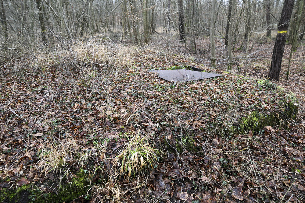 Ligne Maginot - B1 - (Chambre de coupure) - 