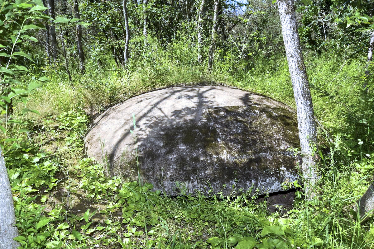 Ligne Maginot - BOIS DE DESSENHEIM EST 1 - (Blockhaus pour arme infanterie) -  