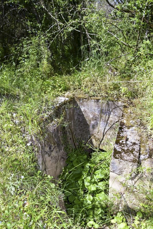 Ligne Maginot - BOIS DE DESSENHEIM EST 1 - (Blockhaus pour arme infanterie) - L'accès à la coupole