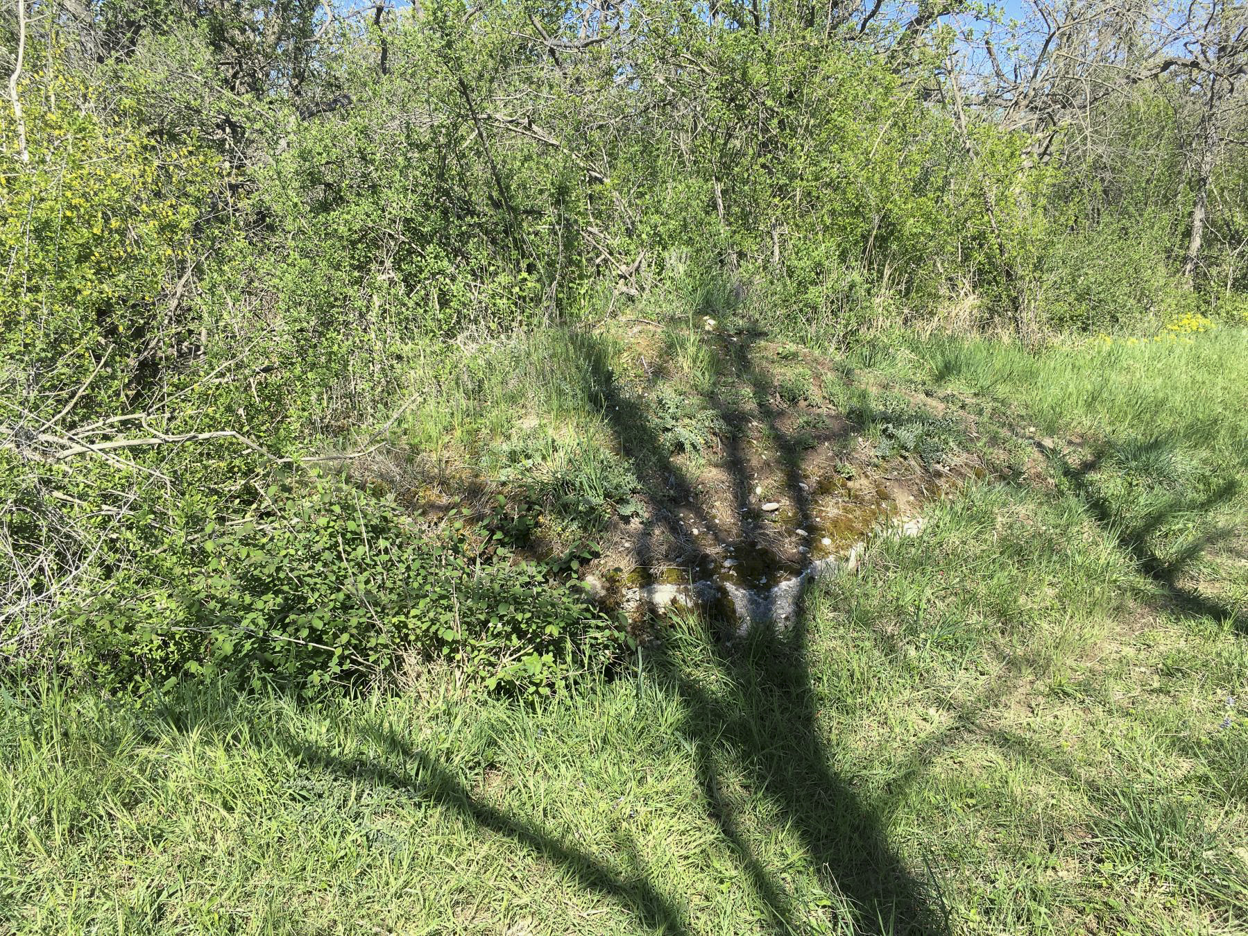 Ligne Maginot - BOIS DE DESSENHEIM SUD-OUEST 5 - (Abri) - Vue du chemin