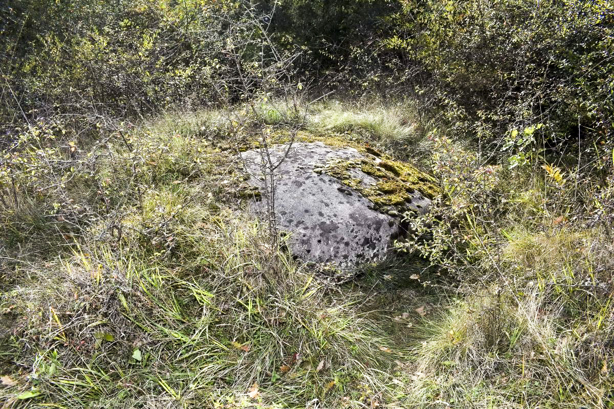 Ligne Maginot - BOIS DE DESSENHEIM SUD 4 - (Blockhaus pour arme infanterie) - Coupole